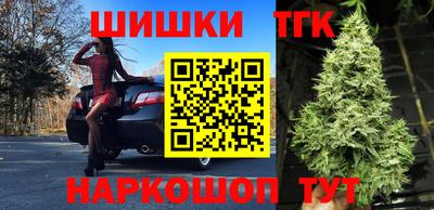 винт Можга