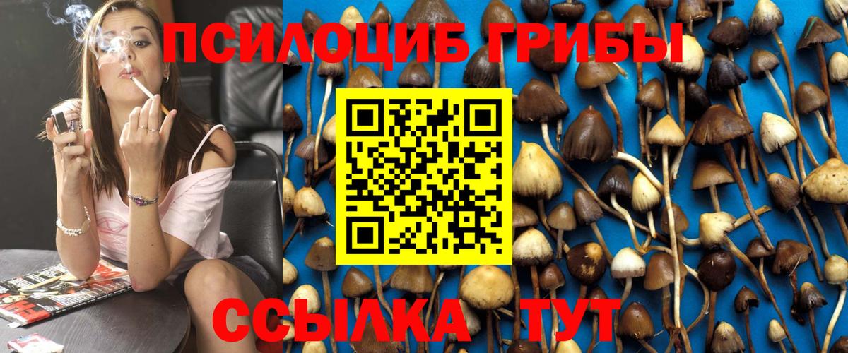 Галлюциногенные грибы Psilocybe  Вход с VPN  купить  цена  Унеча 